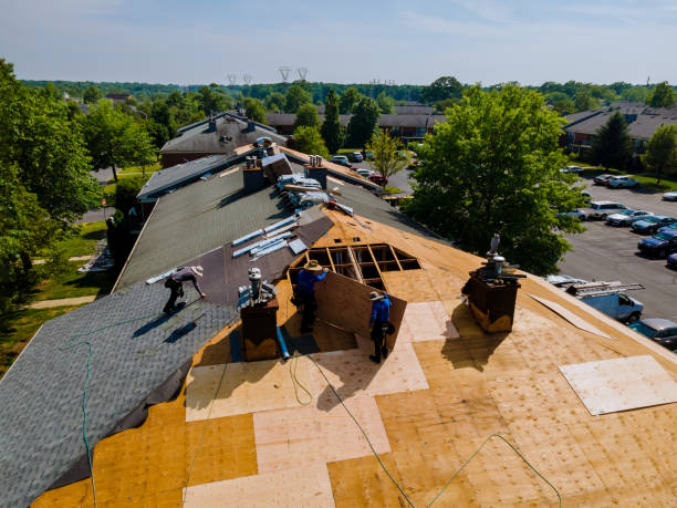 Quick and Trustworthy Emergency Roof Repair Services in Mount Vernon, GA