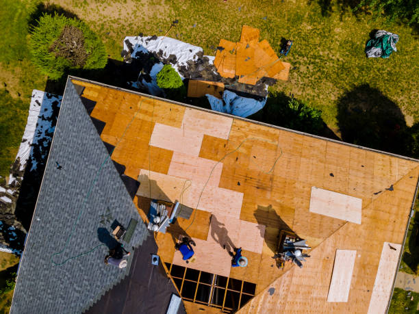 Best Gutter Installation and Roofing  in Mount Vernon, GA